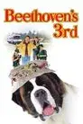 Beethoven 3: De excursión con la familia