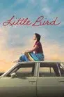 Little Bird, los niños robados