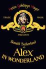 Alex in Wonderland