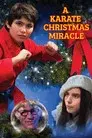 A Karate Christmas Miracle