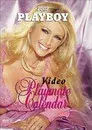 Playboy Video Playmate Calendar 2002