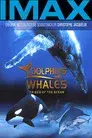 Delfines y ballenas - Tribus del océano