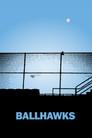Ballhawks