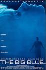 L'aventure du Grand Bleu