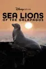 Los leones marinos de las Galápagos
