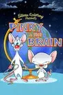 Pinky y Cerebro