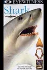 Eyewitness: Shark