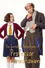 The Incredible Adventures of Professor Branestawm