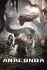 Anaconda