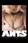 Hormigas
