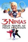 3 ninjas en el parque de atracciones