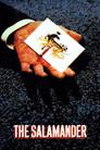 La salamandra roja