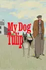 My Dog Tulip
