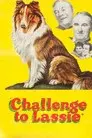 El desafío de Lassie