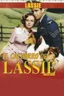 El cachorro de Lassie
