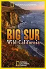 Big Sur: Wild California