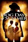 Dog Days of Summer