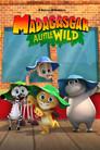 Madagascar: Pequeños salvajes
