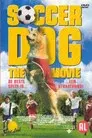 El perro futbolista
