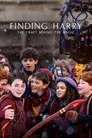 Descubriendo a Harry: El arte detrás de la magia