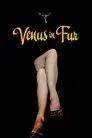 La Venus de las pieles