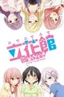 Tachibanakan Triangle