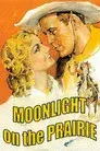 Moonlight on the Prairie