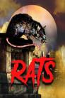 Ratas en el internado