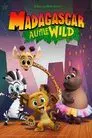 Madagascar: Pequeños salvajes