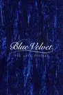 Blue Velvet: The Lost Footage