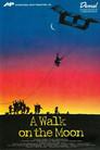 A Walk on the Moon
