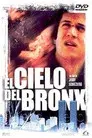 El cielo del Bronx