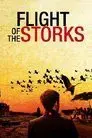 Le Vol des cigognes