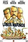 Lobos marinos