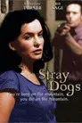Stray Dogs