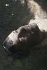 The Lake