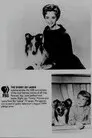 El regreso de Lassie