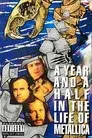 Un año y medio en la vida de Metallica