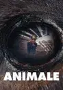 Animale