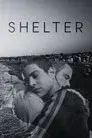 Shelter