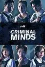 Mentes Criminales (korea)