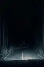El pasajero nocturno