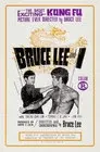 Los Puños de Bruce Lee