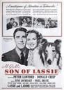 El cachorro de Lassie