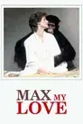 Max, mi amor (Max, mon amour)