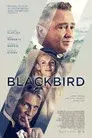Blackbird