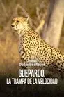 Guepardo. La trampa de la velocidad
