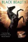Belleza negra (Un caballo llamado Furia)