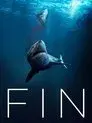 Fin