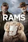 Rams